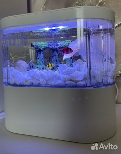 Экологический Аквариум С Фильтром 2 литра