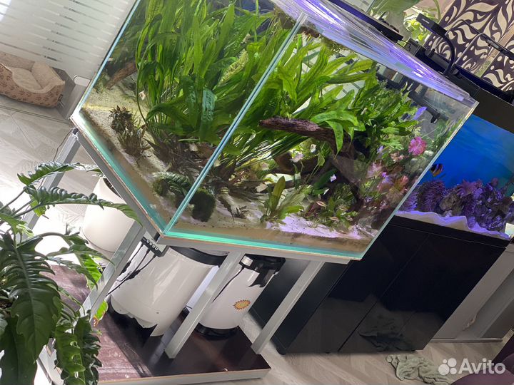 Аквариум