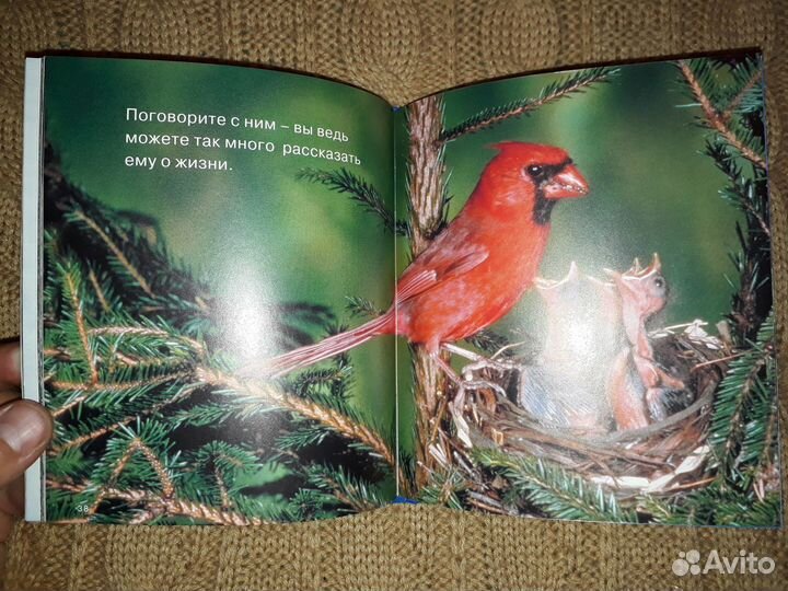 Книга фотоальбом воспитай себе родителей аст 2006г