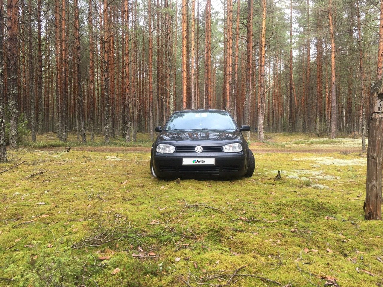 Volkswagen Golf: фото владельца