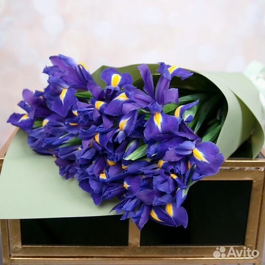 Ирисы цветы букеты доставка