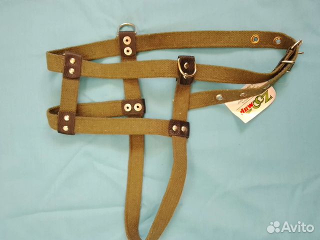 Шлейка, товары для животных