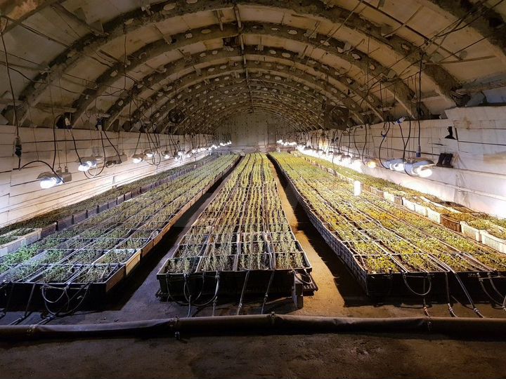 Свободного назначения, 3000 м²