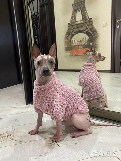 Милые свитеры и комбинезоны на собак