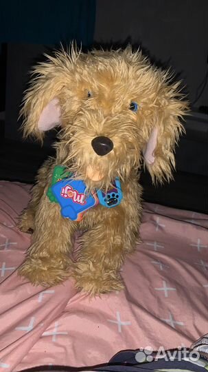 Интерактивная собака роботMoji