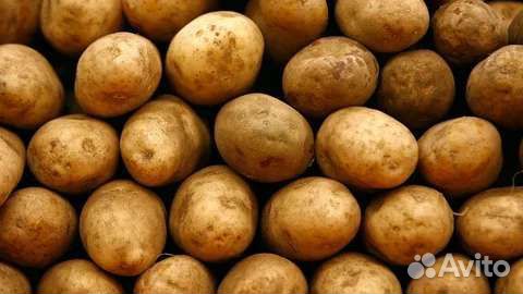 Картофель деревенский