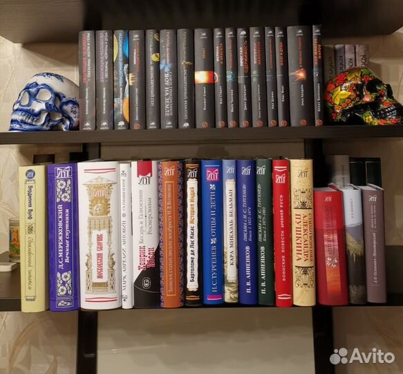 Серия Литературные памятники