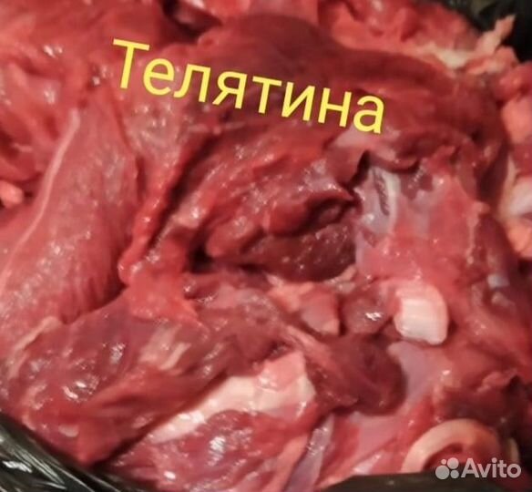 Мясо для собак говядина, телятина