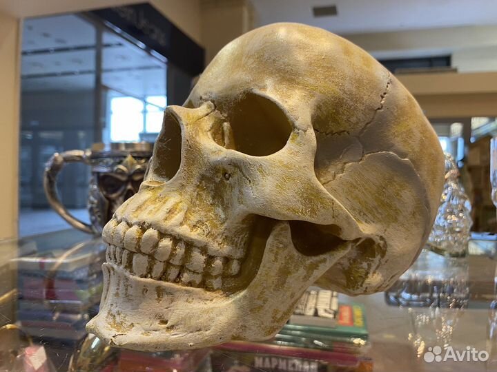 Кружка череп, штоф череп