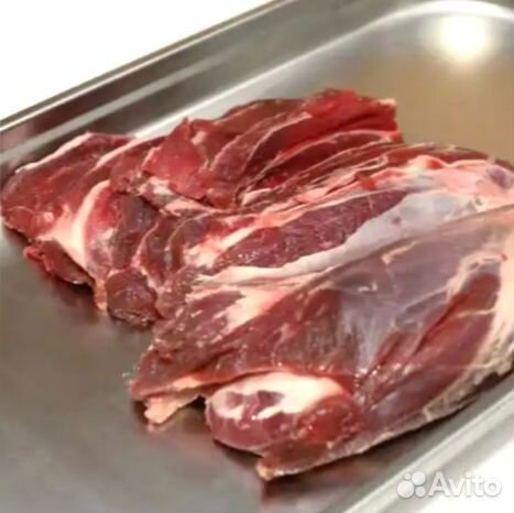 Котлетное мясо 1 сорт 80/20. Говядина