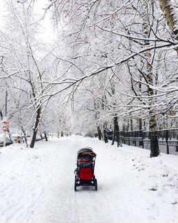 Коляска 2 в 1