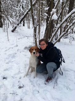 Репетитор по английскому