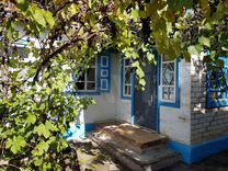 продается дом балахонов кочубеевское. ивановка ставропольский край. дом гуреева кочубеевское. дом в кочубеевском. хутор васильевский ставропольский край кочубеевский район.