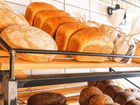 Инвестор пекарня выпечка хлеба