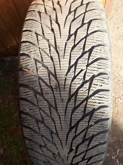 Покрышка Nokian hakapelitta R2 205 55 R 16