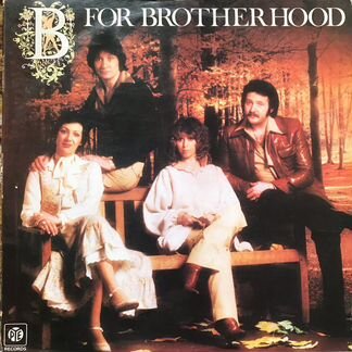 Виниловая пластинка Brotherhood of Man