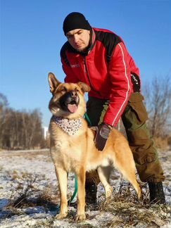 Лайка в дар