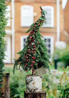 Эко-Елочки из живой хвои и других природных матери