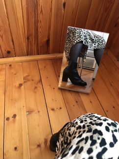 Зимние ботильоны hogl