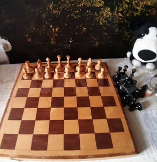 Шахматы СССР 1970 г