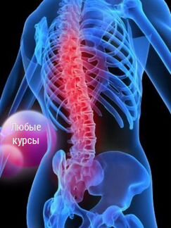 Курс Как избавиться от боли в спине и шее