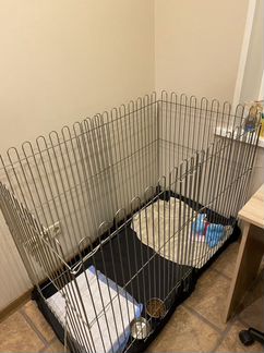 Вольер для собак