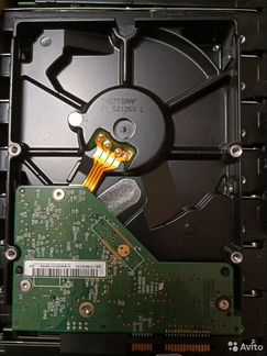 Western Digital Caviar Blue 500 Гб