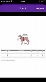 Одежда для собак