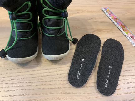 Сапоги демисезон Ecco biom 24