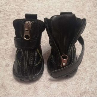 Ботинки для чихуахуа,йорка,шпица, той терьера