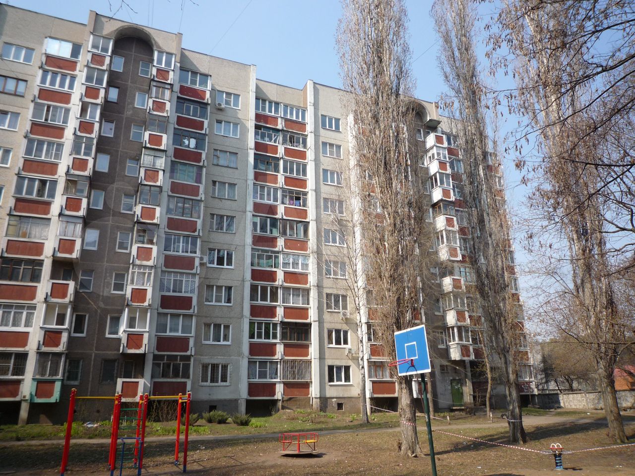 Воронеж, ул. 9 января, 258