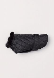 Комбинезон для собаки