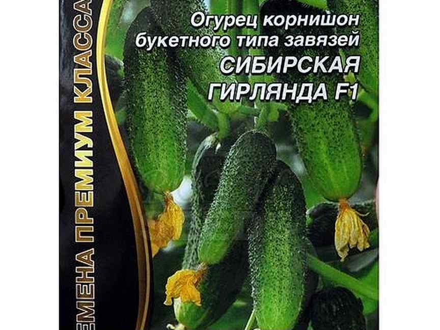 Огурцы гирлянда описание сорта фото отзывы