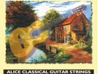 Комплект струн для классической гитары A106-H