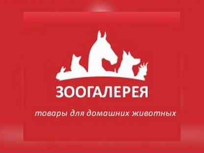Зоогалерея Интернет Магазин Королев